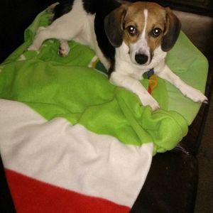 Meet your Posher, Veronica